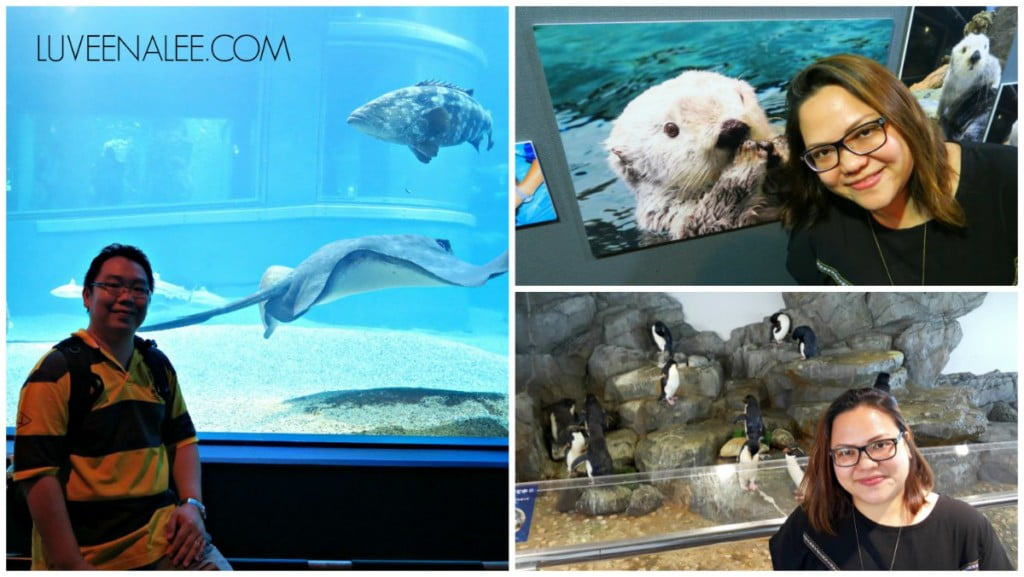 osaka-aquarium-3